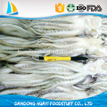 Congelado Illex Argentinus Squid Cabeza de diferentes tamaños disponibles